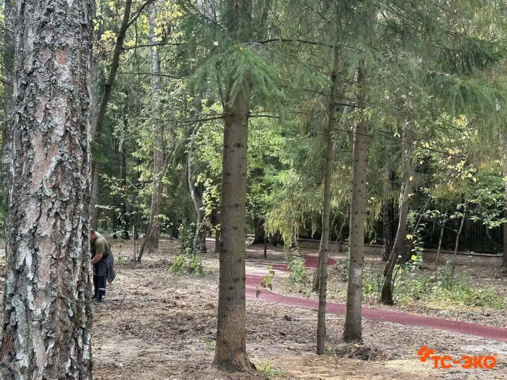 Улица с нанесённым резиновым покрытием